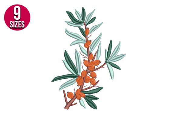 Autumn Rowan Branch Review