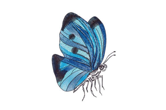 Blue Butterfly Drawing