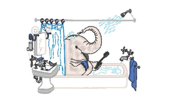 Elephant Taking a Shower